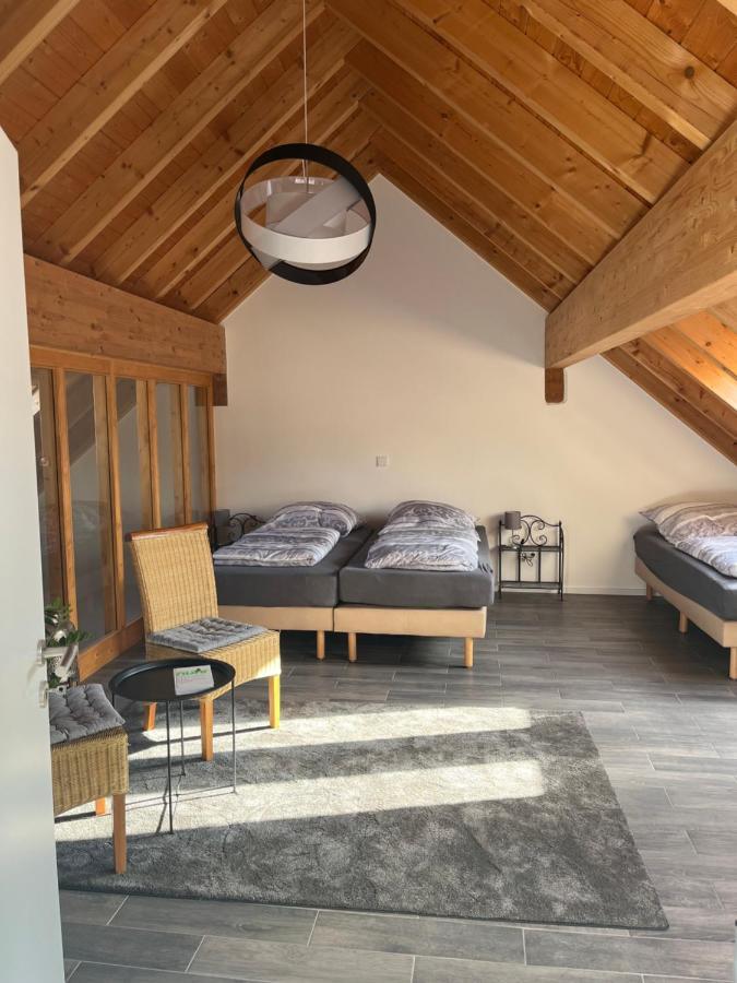 Ferienwohnung Am Wald-Und Wiesenkorb Kell am See المظهر الخارجي الصورة